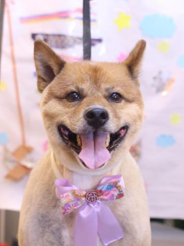 20240514やまとくん